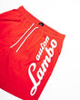 Lamborghini men's swim shorts red