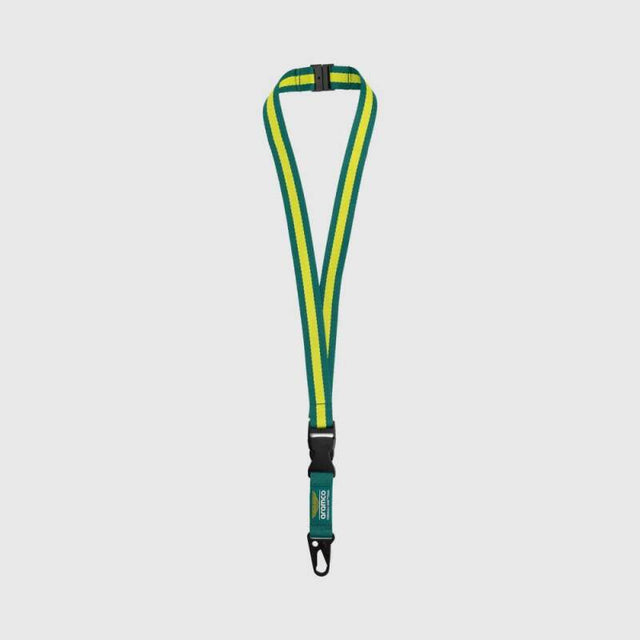 Aston Martin F1 carabiner keyring with logo