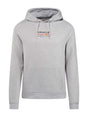 Oracle Red Bull Racing hoodie, RACING edition, grey, with logo